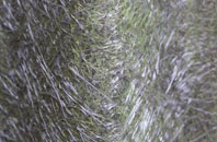 Martinhoe Cross fibreglass roof work